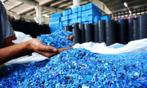 Home Waste paper and plastic recycling company in Dubai