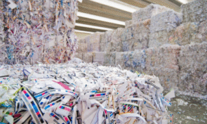 Home “Recycled waste paper products in Dubai – corrugated cartons and office paper”