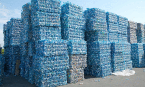 Home Waste paper and plastic recycling company in Dubai