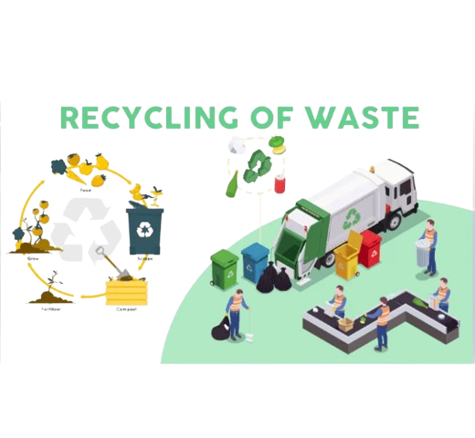 Waste paper and plastic recycling company in Dubai